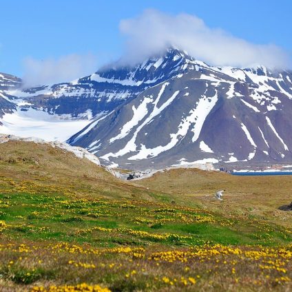 Rinnovabili • Tundra artica: ora emette più CO2 di quanta ne cattura