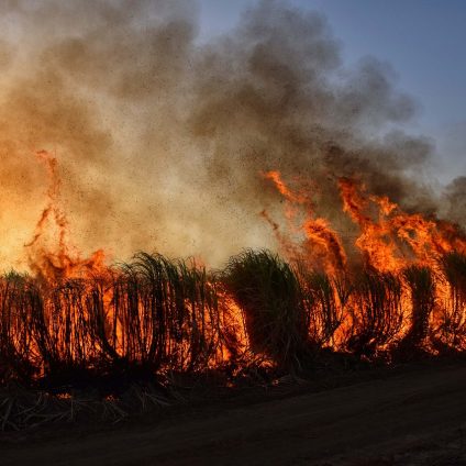 Rinnovabili • Il rischio incendi aumenta con il cambiamento climatico