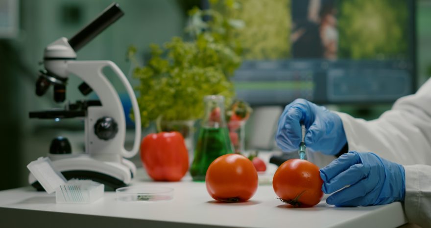 Rinnovabili • UE, nasce un nuovo hub di accelerazione per le startup agroalimentari