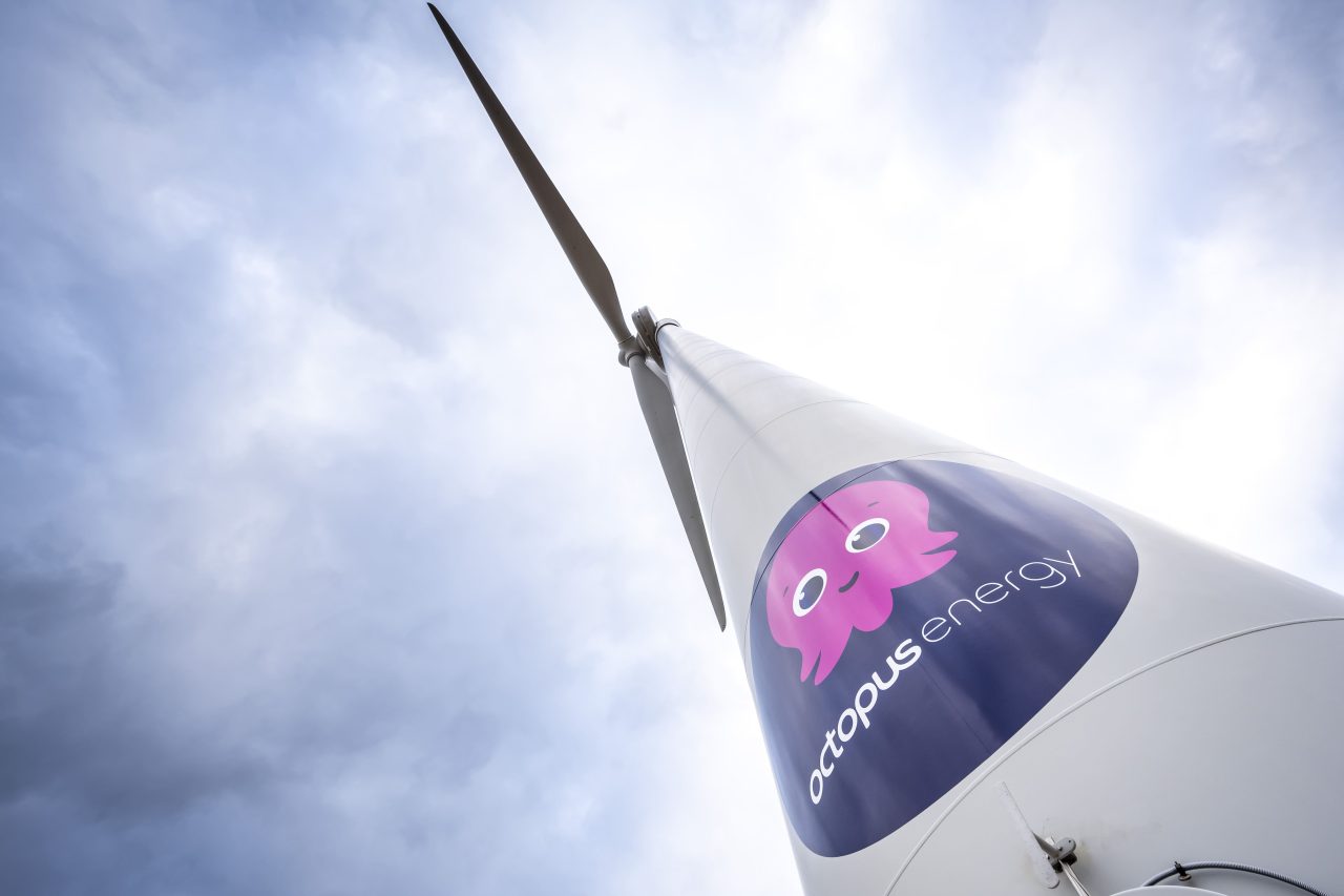 Rinnovabili • Octopus Energy diventa il più grande fornitore di energia del Regno Unito