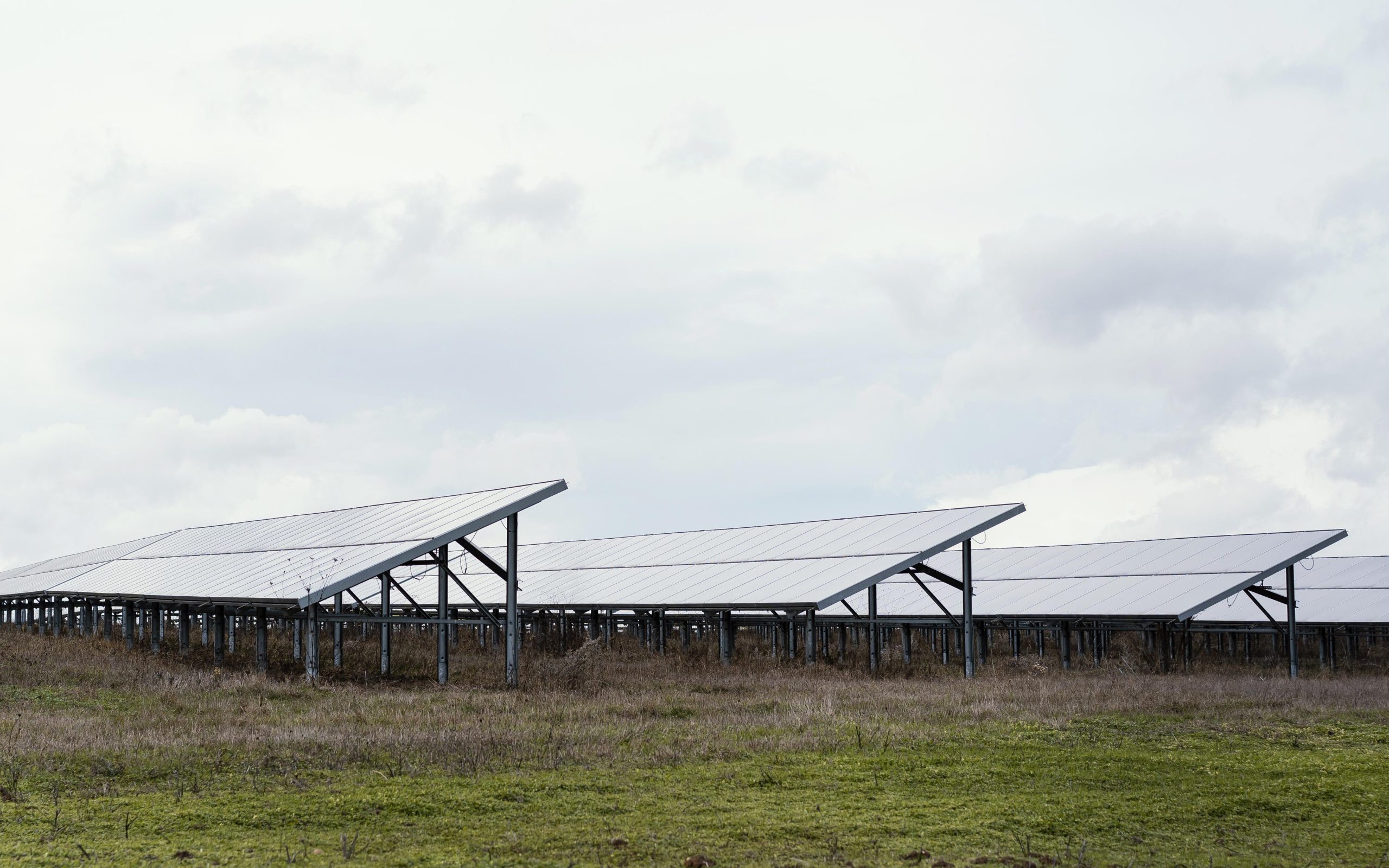 Energia e agricoltura, un rapporto strategico per l’ambiente e la competitività