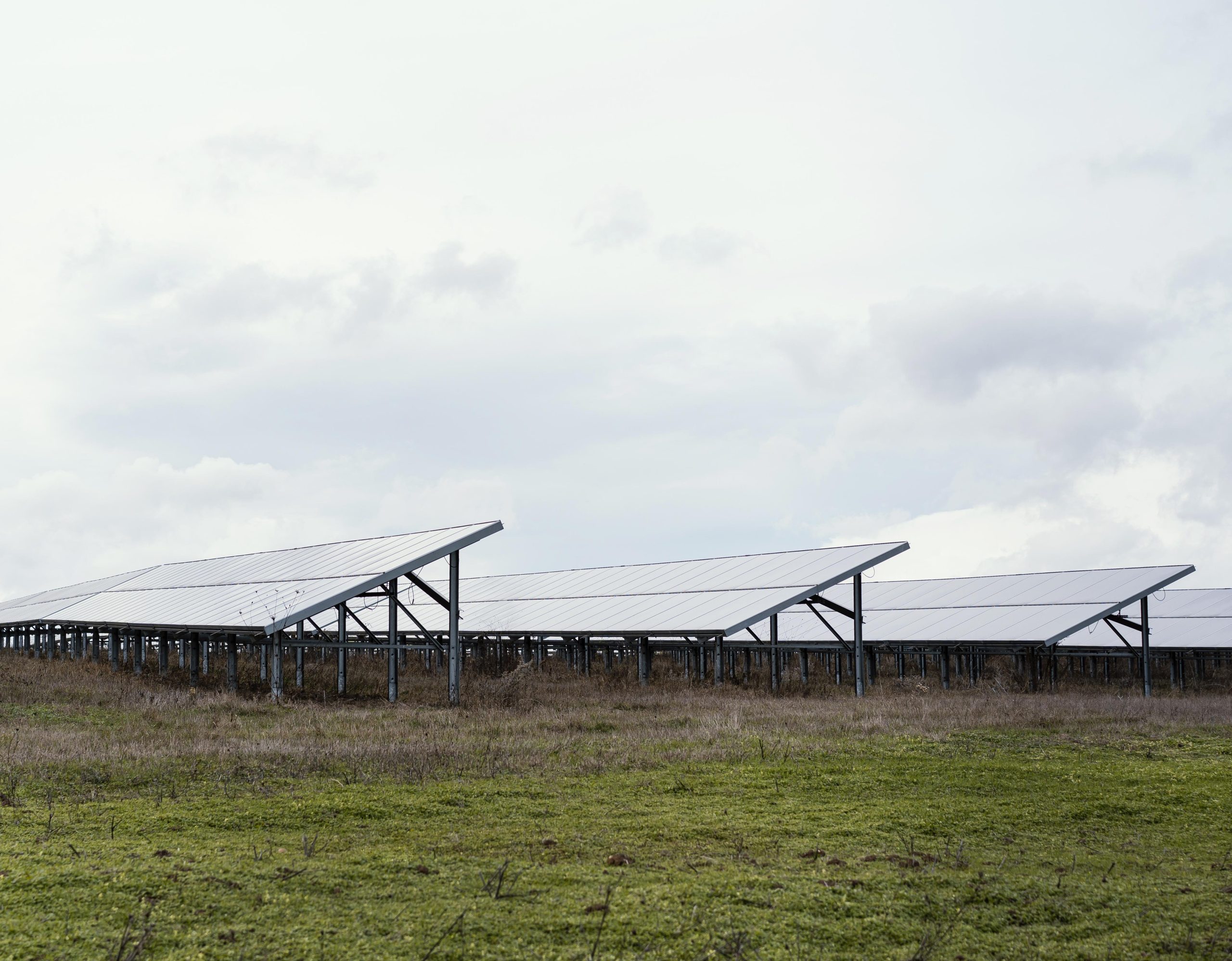 Rinnovabili • Energia e agricoltura, un rapporto strategico per l’ambiente e la competitività