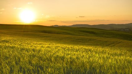 Rinnovabili • Legge di Bilancio 2025, misure non solo per l’agricoltura nella strategia del MASAF