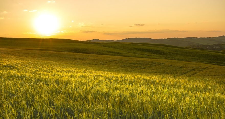 Rinnovabili • Legge di Bilancio 2025, misure non solo per l’agricoltura nella strategia del MASAF