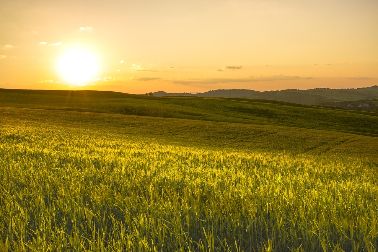 Rinnovabili • Legge di Bilancio 2025, misure non solo per l’agricoltura nella strategia del MASAF