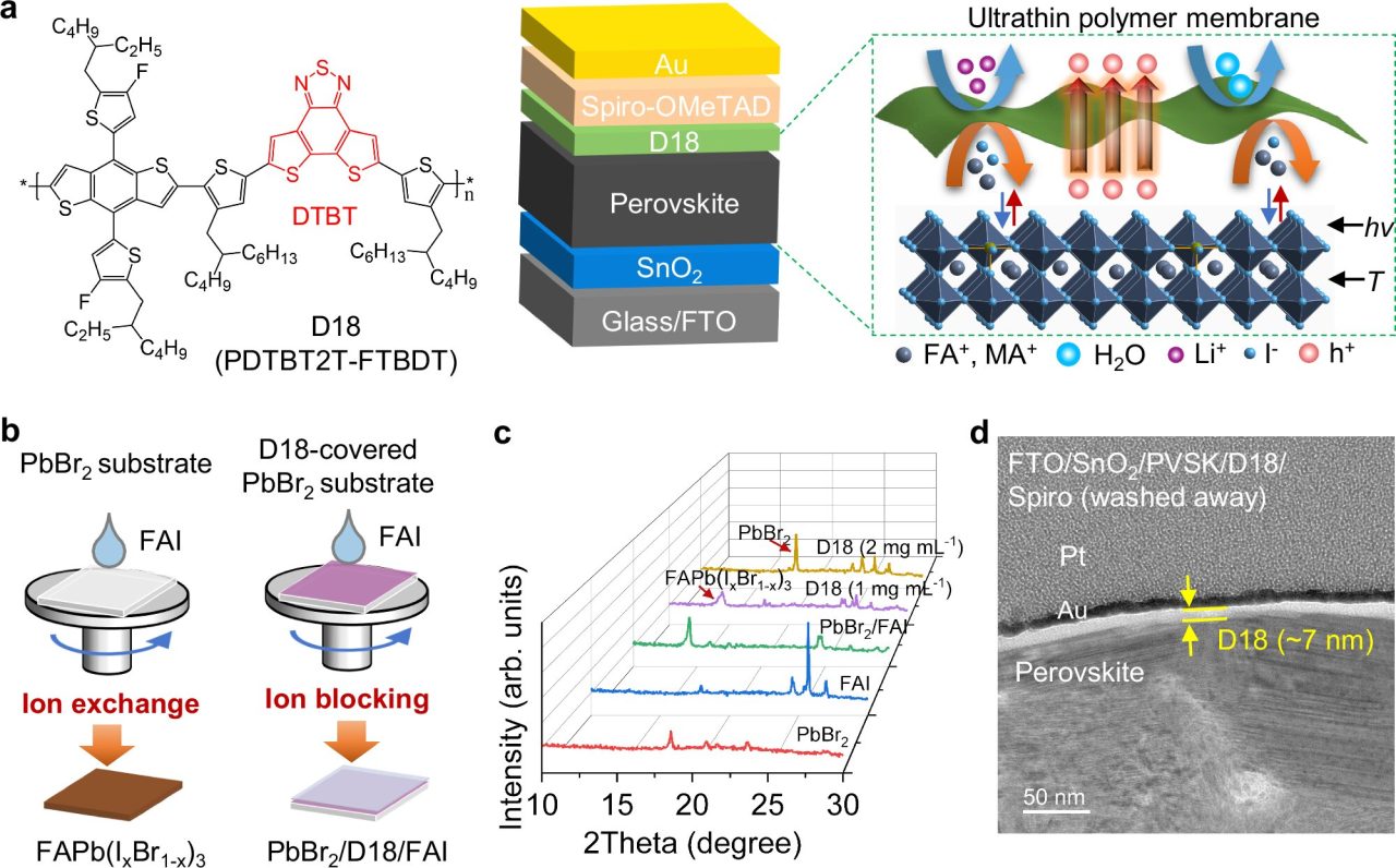 Rinnovabili • Fotovoltaico in perovskite, il polimero D18 alza l'efficienza delle celle