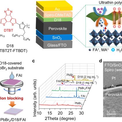 Rinnovabili • Fotovoltaico in perovskite, il polimero D18 alza l'efficienza delle celle