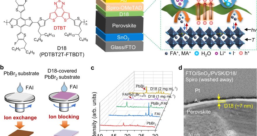 Rinnovabili • Fotovoltaico in perovskite, il polimero D18 alza l'efficienza delle celle