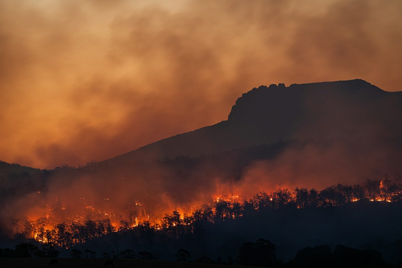 Rinnovabili • Incendi boschivi: come migliorare prevenzione in Italia?