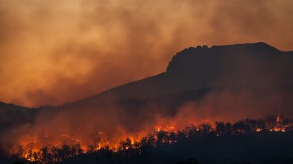 Rinnovabili • Incendi boschivi: come migliorare prevenzione in Italia?