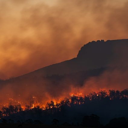 Rinnovabili • Incendi boschivi: come migliorare prevenzione in Italia?