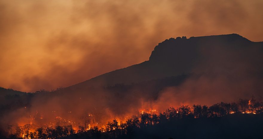 Rinnovabili • Incendi boschivi: come migliorare prevenzione in Italia?