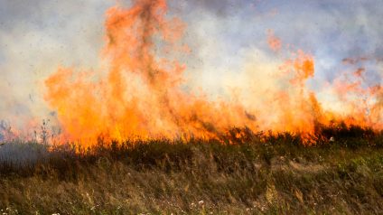 Rinnovabili • Incendi in Brasile: nel 2024 bruciata area grande come l’Italia