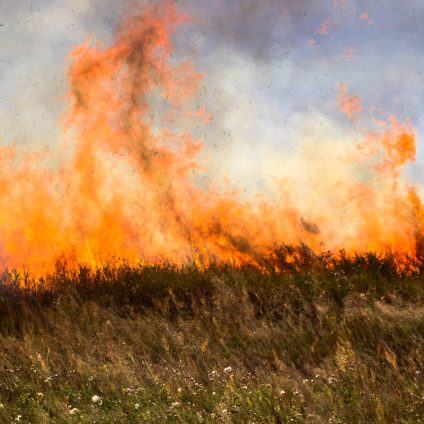 Rinnovabili • Incendi in Brasile: nel 2024 bruciata area grande come l’Italia