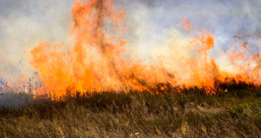 Rinnovabili • Incendi in Brasile: nel 2024 bruciata area grande come l’Italia