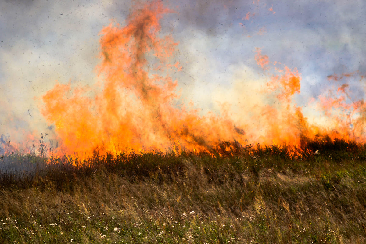 Rinnovabili • Incendi in Brasile: nel 2024 bruciata area grande come l’Italia