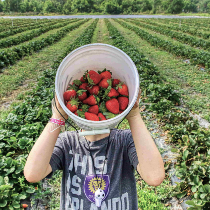 Rinnovabili • Foodmeter, autovalutazione di sostenibilità per filiere agroalimentari e consumatori