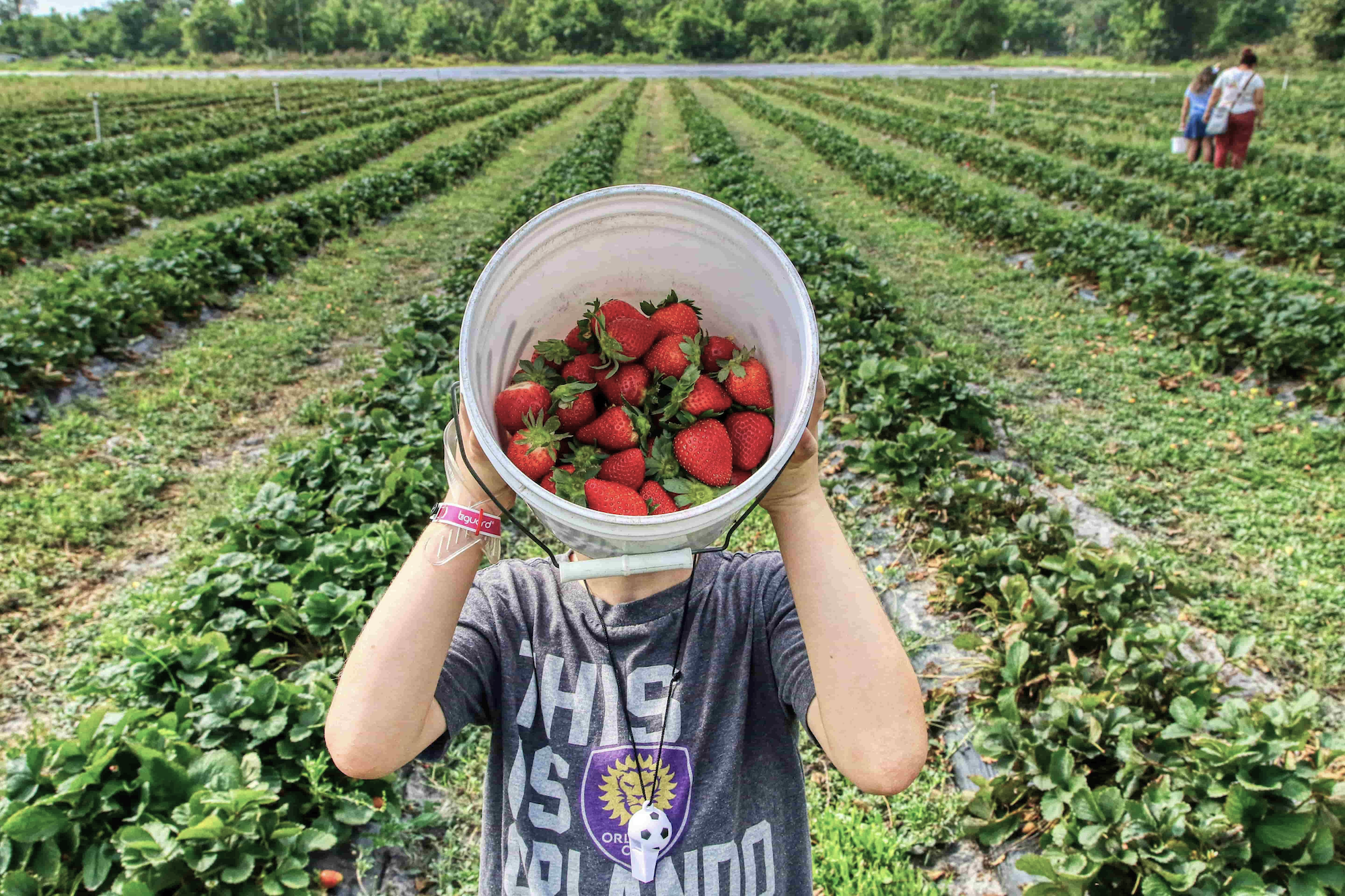 Rinnovabili • Foodmeter, autovalutazione di sostenibilità per filiere agroalimentari e consumatori