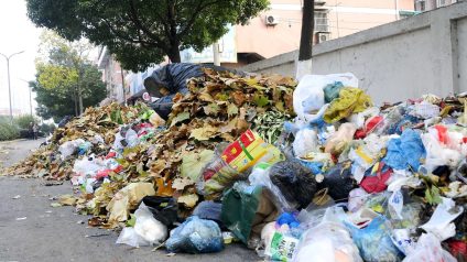 Rinnovabili • Terra dei Fuochi: CEDU condanna l’Italia