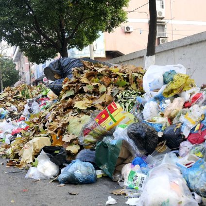 Rinnovabili • Terra dei Fuochi: CEDU condanna l’Italia