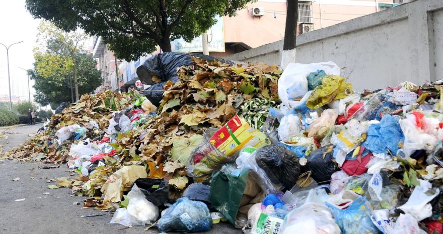 Rinnovabili • Terra dei Fuochi: CEDU condanna l’Italia