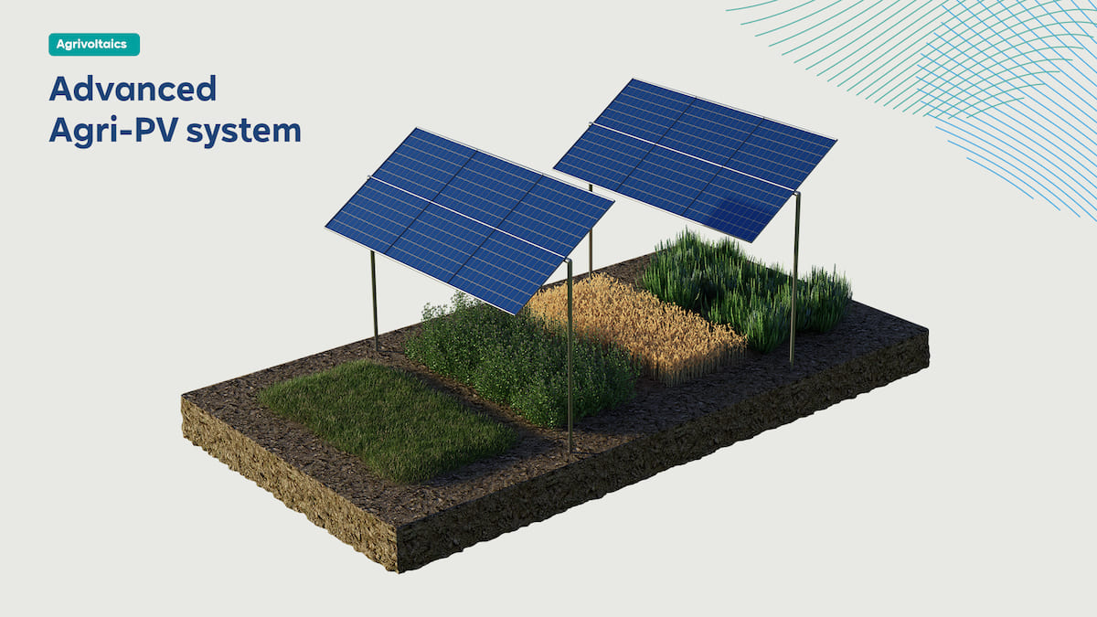 Rinnovabili • RWE avvia in Italia la costruzione dei suoi primi progetti commerciali di agrivoltaico