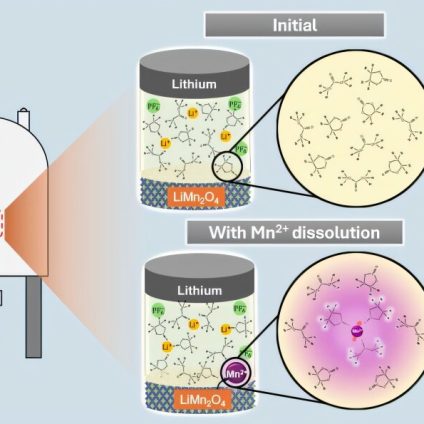 Rinnovabili • Perché le prestazioni delle batterie al litio MNO calano? Risponde la risonanza magnetica