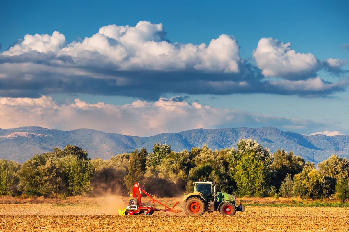 Rinnovabili • Eco-schemi PAC: decine di miliardi di euro sprecati, accusa ong