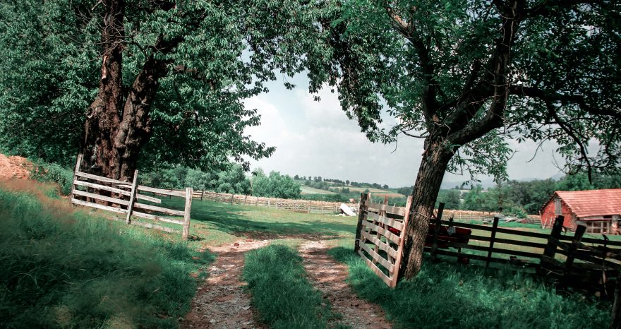 Rinnovabili • Approvato il bando per l’agricoltura sociale in Campania