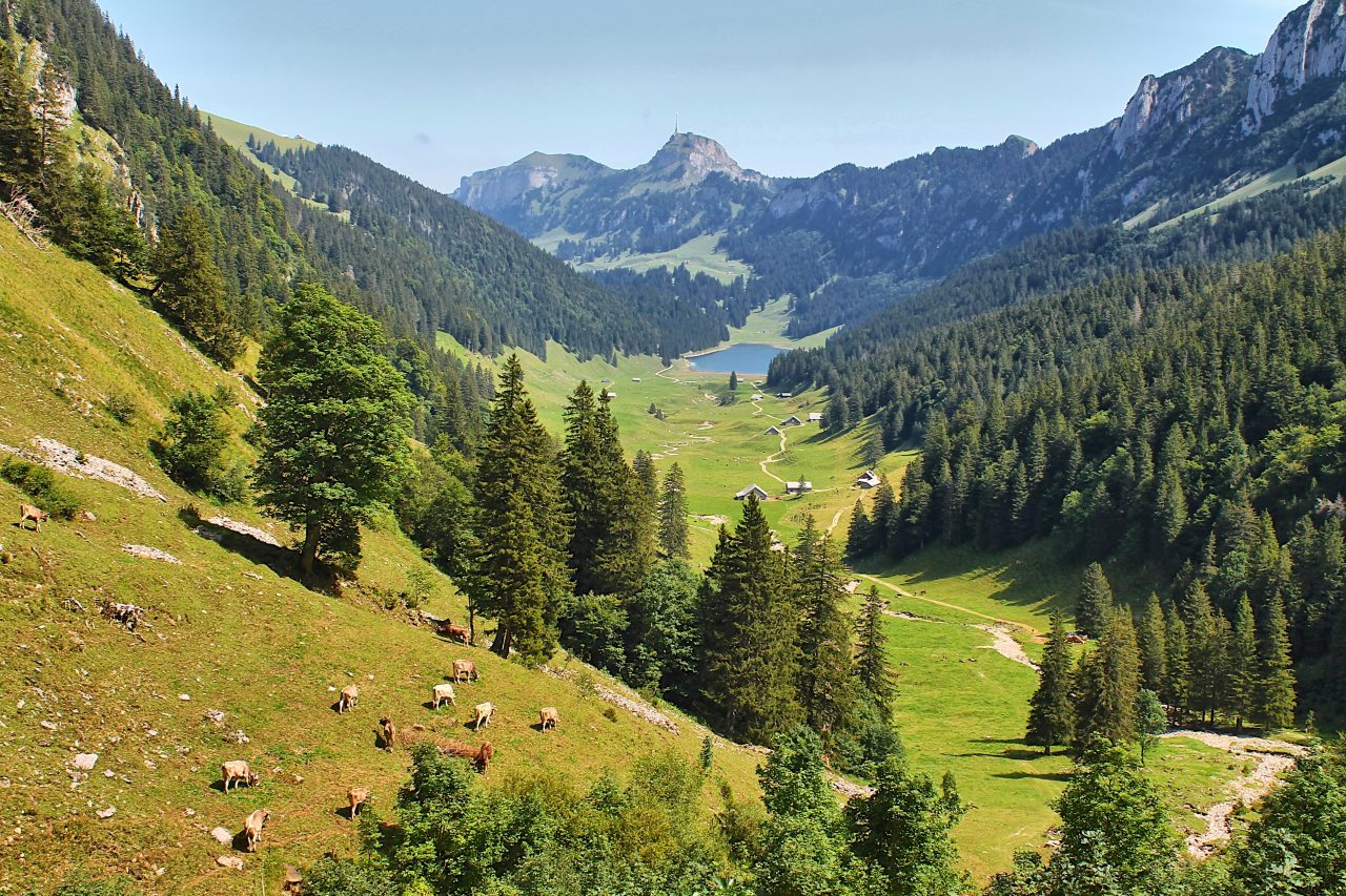 Rinnovabili • Agricoltura di montagna, la Regione Lombardia stanzia 17 milioni di euro