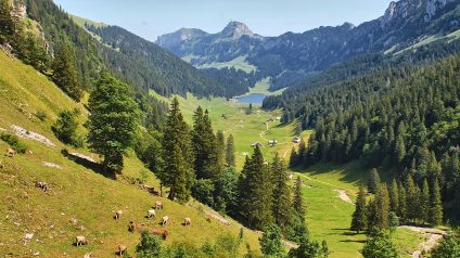 Rinnovabili • Agricoltura di montagna, la Regione Lombardia stanzia 17 milioni di euro