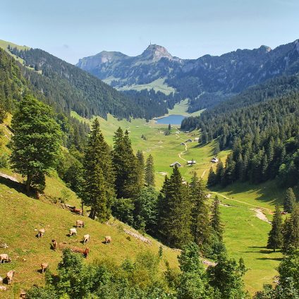 Rinnovabili • Agricoltura di montagna, la Regione Lombardia stanzia 17 milioni di euro