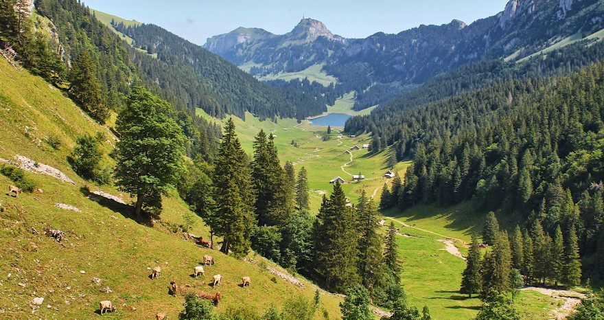 Rinnovabili • Agricoltura di montagna, la Regione Lombardia stanzia 17 milioni di euro