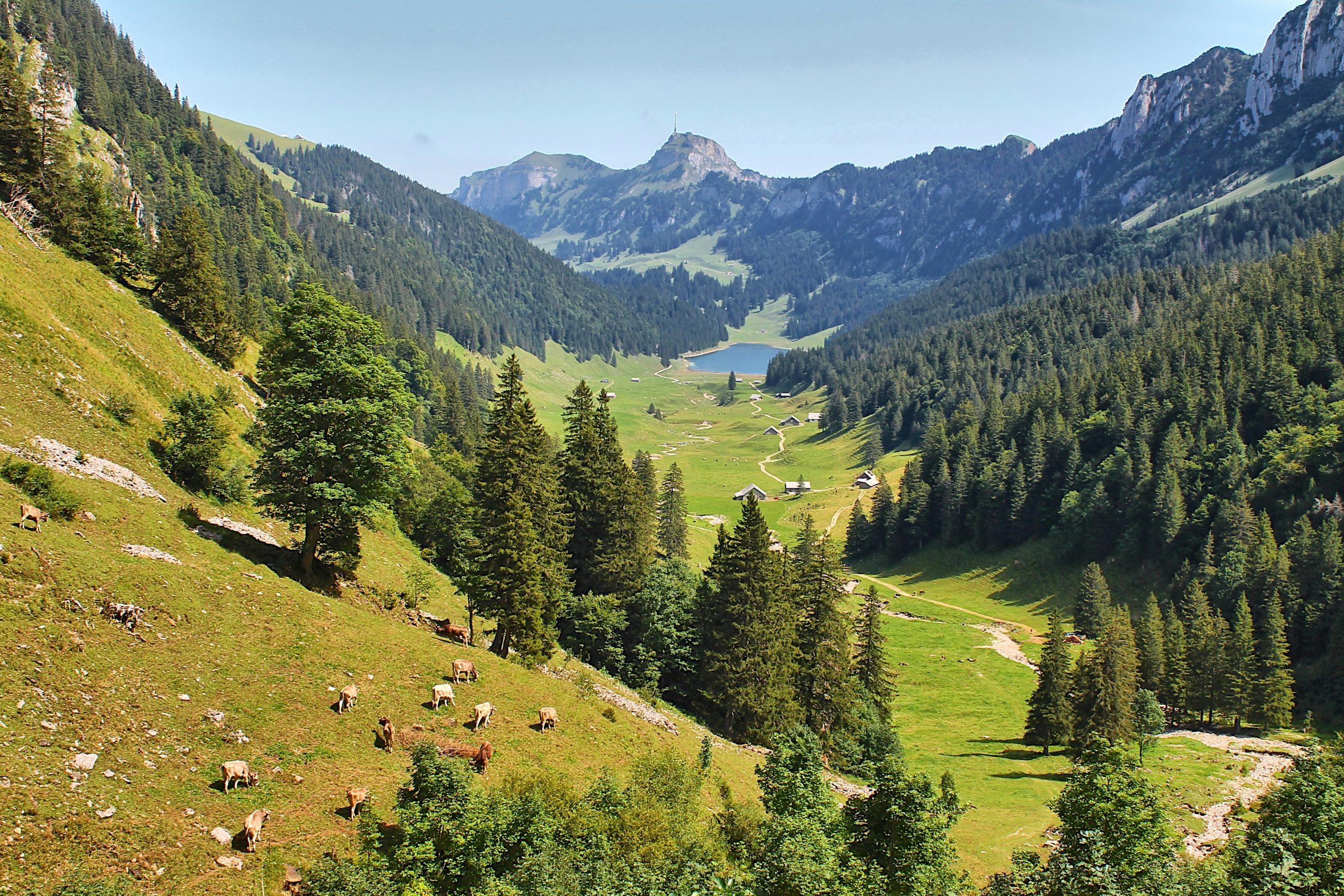 Agricoltura di montagna, la Regione Lombardia stanzia 17 milioni di euro